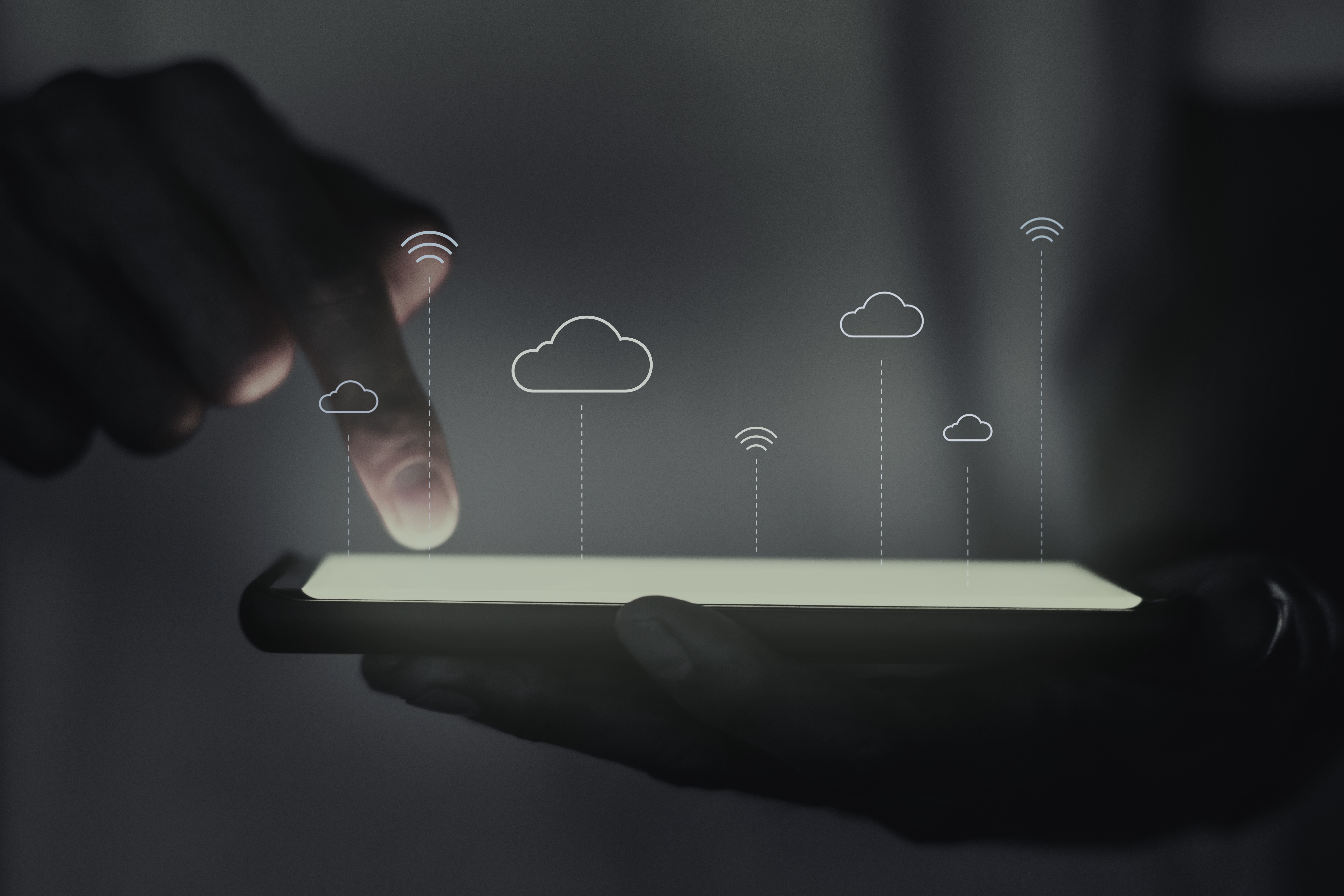 SaaS, Membership & Educational Portals